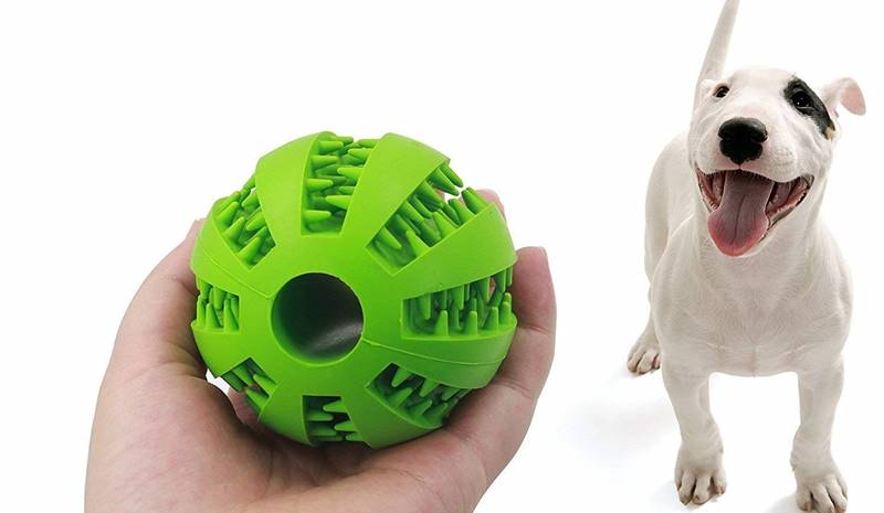 Best Interactive Dog Toys Dog Toys Advisor