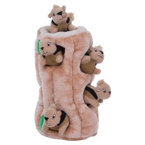 squirrel puzzle dog toy