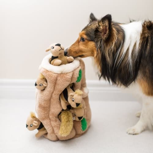 plush puzzle dog toys