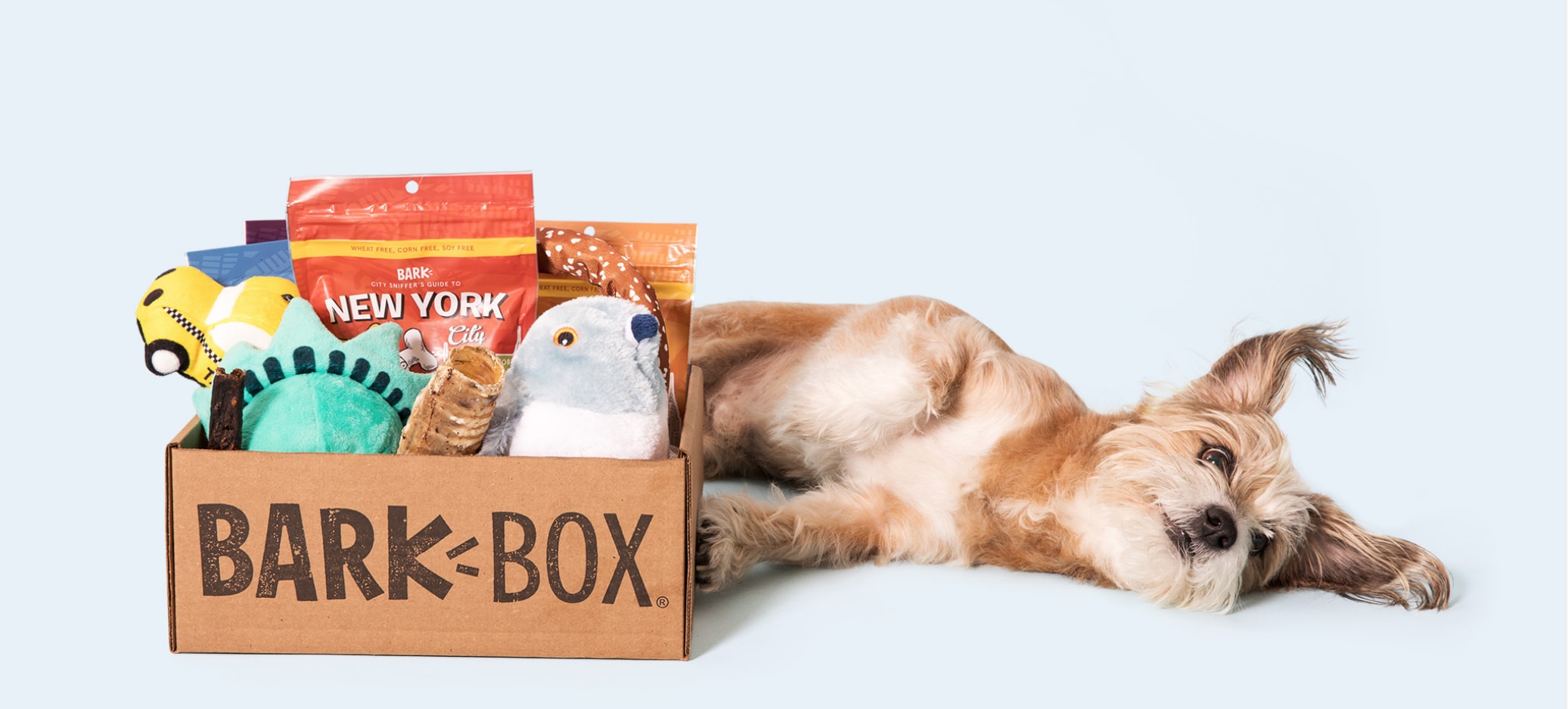 barkboxsubscriptionboxfordogs Dog Toys Advisor