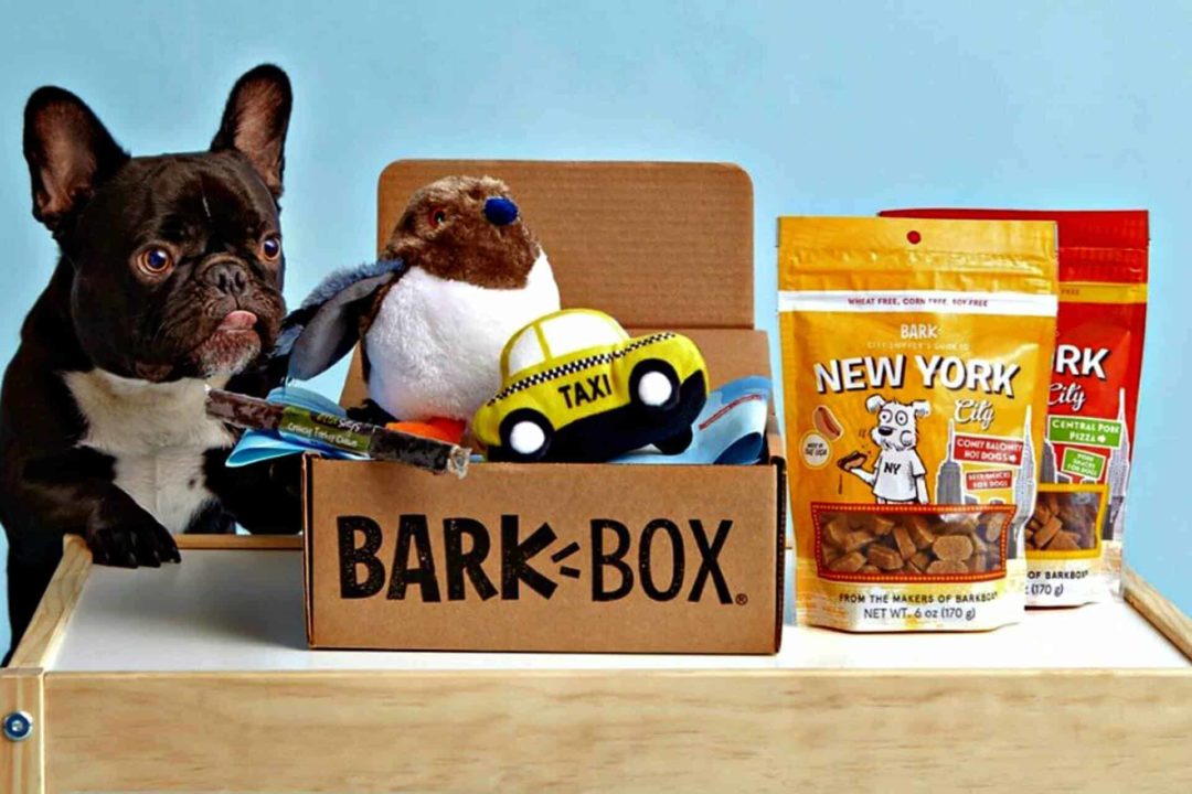 barkbox bob ross toy