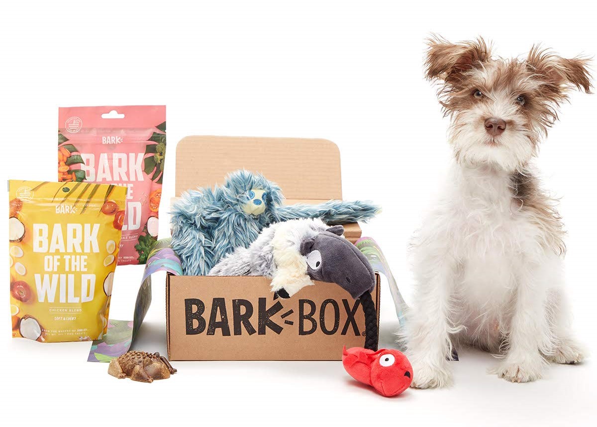 barkboxreviews Dog Toys Advisor