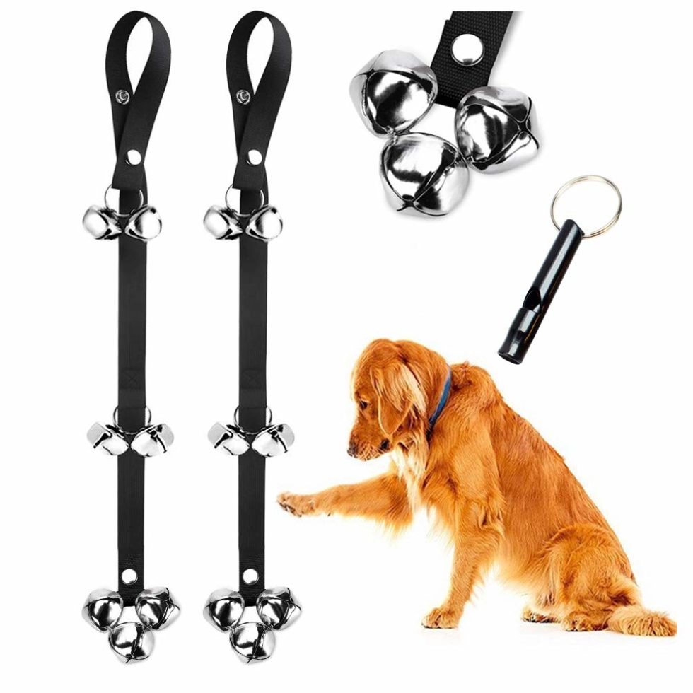 How To Bell Train Your Dog To Go Outside Dog Toys Advisor