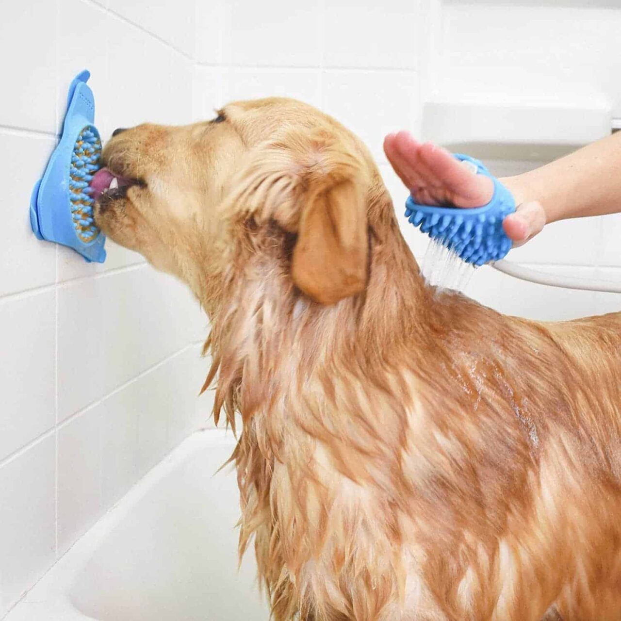 7 Tips to Keep Your Dog Calm While Grooming Dog Toys Advisor