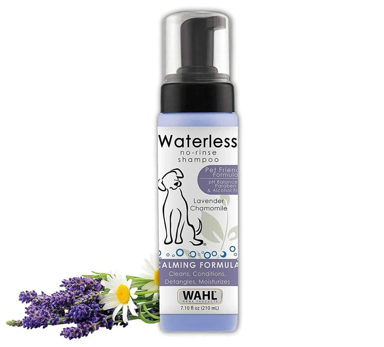 How to Make Your Dog Smell Better Between Baths Dog Toys Advisor